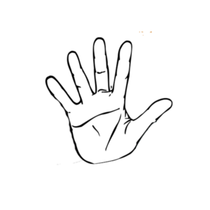 Gant nitrile - jetable taille 10/11