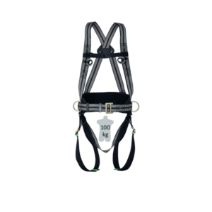 antichute 2 points d'accrochage avec ceinture de maintien au travail