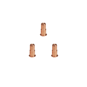 Buses prolongées TE802079