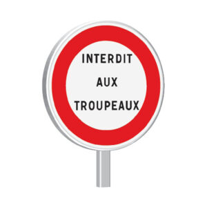 B19-450-Classe 2-Autres interdictions-Texte à spécifier