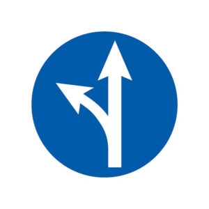 SORTIE SUR LA GAUCHE D.300mm