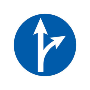 SORTIE SUR LA DROITE D.300mm