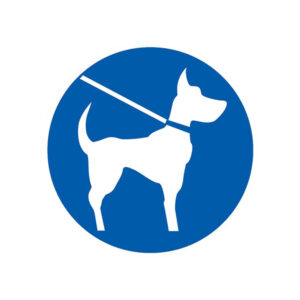 CHIEN EN LAISSE OBLIGATOIRE D.300mm