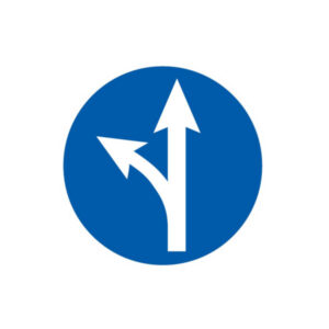 SORTIE SUR LA GAUCHE D.420mm