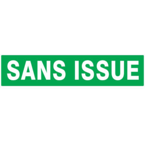SANS ISSUE (SECOURS) LUMINESCENT 330x75mm