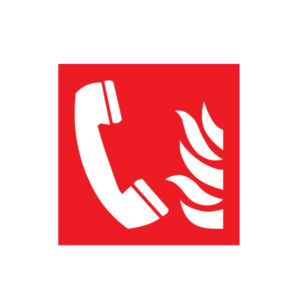 SORTIE DE SECOURS LUMINESCENT 330x75mm