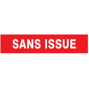 SANS ISSUE (INCENDIE) LUMINESCENT 330x75mm